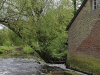 NL, Limburg, Leudal, Leumolen 2, Saxifraga-Tom Heijnen