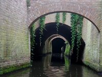 NL, Noord-Brabant, 's Hertogenbosch, Binnendieze 8, Saxifraga-Foto Fitis-Sytske Dijksen