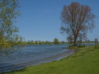NL, Noord-Brabant, 's-Hertogenbosch, De Koornwaard 50, Saxifraga-Jan van der Straaten