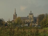 NL, Noord-Brabant, 's-Hertogenbosch, Sint Jan 8, Saxifraga-Jan van der Straaten