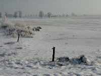 NL, Noord-Brabant, Alphen-Chaam, Bleeke Heide 5, Saxifraga-Jan van der Straaten