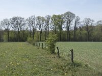 NL, Noord-Brabant, Alphen-Chaam, De Hoevens 21, Saxifraga-Willem van Kruijsbergen