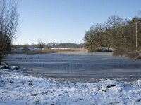 NL, Noord-Brabant, Alphen-Chaam, de Hoevens 46, Saxifraga-Willem van Kruijsbergen