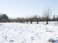NL, Noord-Brabant, Alphen-Chaam, de Hoevens 71, Saxifraga-Willem van Kruijsbergen