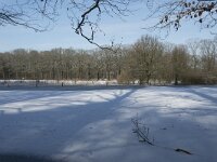 NL, Noord-Brabant, Alphen-Chaam, de Hoevens 78, Saxifraga-Willem van Kruijsbergen