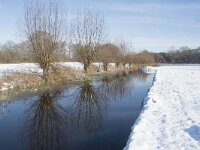 NL, Noord-Brabant, Alphen-Chaam, de Hoevens 83, Saxifraga-Willem van Kruijsbergen