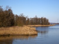 NL, Noord-Brabant, Altena, Gat van Lijnoorden 5, Saxifraga-Roel Meijer