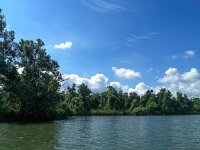 NL, Noord-Brabant, Altena, Gat van den Kleinen Hil 85, Saxifraga-Bart Vastenhouw