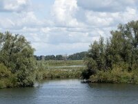 NL, Noord-Brabant, Altena, Polder Ganzewei 12, Saxifraga-Willem van Kruijsbergen