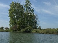 NL, Noord-Brabant, Altena, Polder Hooge Hof 1, Saxifraga-Jan van der Straaten