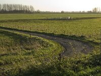 NL, Noord-Brabant, Altena, Polder Hooge Hof 5, Saxifraga-Jan van der Straaten