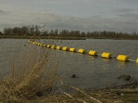 NL, Noord-Brabant, Altena, Polder Maltha 10, Saxifraga-Jan van der Straaten