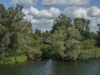 NL, Noord-Brabant, Altena, Ruwenhennip 25, Saxifraga-Jan van der Straaten