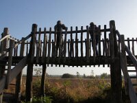 NL, Noord-Brabant, Asten, Grote Peel 27, Saxifraga-Foto Fitis-Sytske Dijksen