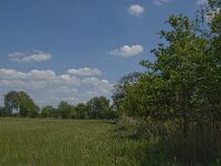 NL, Noord-Brabant, Baarle-Nassau, De Broskens 41, Saxifraga-Jan van der Straaten