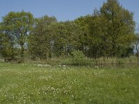 NL, Noord-Brabant, Baarle-Nassau, De Manke Goren 47, Saxifraga-Willem van Kruijsbergen