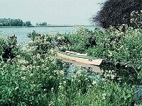 NL, Noord-Brabant, Drimmelen 56, 1960, Saxifraga-Jules Witlox