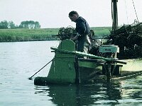 NL, Noord-Brabant, Drimmelen, Amer 10, 1960, Saxifraga-Jules Witlox