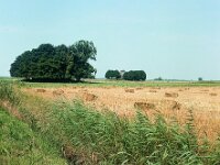 NL, Noord-Brabant, Drimmelen, Annapolder 1, 1960, Saxifraga-Jules Witlox