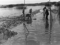 NL, Noord-Brabant, Drimmelen, Gat van de Kerksloot 2, 1960, Saxifraga-Jules Witlox