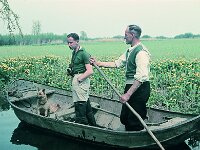 NL, Noord-Brabant, Drimmelen, Hofmansplaat 21, 1960, Saxifraga-Jules Witlox