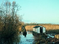 NL, Noord-Brabant, Drimmelen, Hofmansplaat 51, 1960, Saxifraga-Jules Witlox
