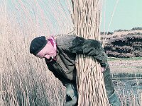 NL, Noord-Brabant, Drimmelen, Polder Kindem 1, 1960, Saxifraga-Jules Witlox