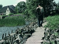 NL, Noord-Brabant, Drimmelen, Vischplaat 24, 1960, Saxifraga-Jules Witlox