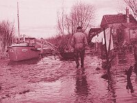 NL, Noord-Brabant, Drimmelen, Vischplaat 27, 1960, Saxifraga-Jules Witlox