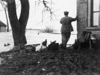 NL, Noord-Brabant, Drimmelen, Vischplaat 6, 1960, Saxifraga-Jules Witlox