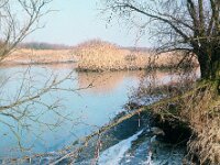 NL, Noord-Brabant, Drimmelen, Zuidergat van de de Plomp 4, 1960, Saxifraga-Jules Witlox