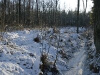 NL, Noord-Brabant, Boxtel, De Geelders 12, Saxifraga-Jan van der Straaten