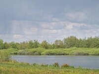NL, Noord-Brabant, Cranendonck, Soerendonks Goor 35, Saxifraga-Tom Heijnen