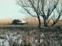 NL, Noord-Brabant, Drimmelen 75, 1960, Saxifraga-Jules Witlox