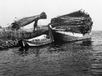 NL, Noord-Brabant, Drimmelen, Stroomgat 1, 1960, Saxifraga-Jules Witlox