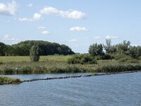 NL, Noord-Brabant, Drimmelen, Amer 64, Saxifraga-Willem van Kruijsbergen