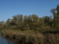 NL, Noord-Brabant, Drimmelen, Doktershoek 4, Saxifraga-Jan van der Straaten