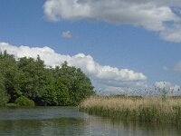 NL, Noord-Brabant, Drimmelen, Gat van de Plomp 3, Saxifraga-Jan van der Straaten