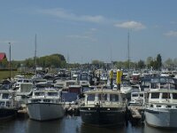 NL, Noord-Brabant, Drimmelen, Jachthaven 6, Saxifraga-Marijke Verhagen