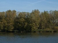 NL, Noord-Brabant, Drimmelen, Petrusplaat 4, Saxifraga-Jan van der Straaten