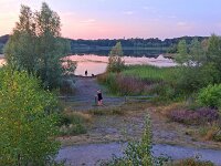 NL, Noord-Brabant, Eersel, Grootmeer 22, Saxifraga-Tom Heijnen