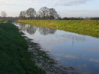 NL, Noord-Brabant, Eersel, Kleine Beerze in Molenbroek 1, Saxifraga-Tom Heijnen