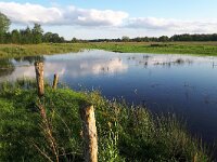 NL, Noord-Brabant, Eersel, Spekdonken 7, Saxifraga-Tom Heijnen
