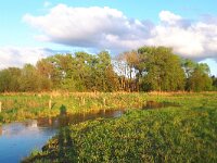 NL, Noord-Brabant, Eersel, Spekdonken 8, Saxifraga-Tom Heijnen