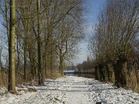 NL, Noord-Brabant, Eindhoven, Bokt, Kleine Dommel 4, Saxifraga-Marijke Verhagen