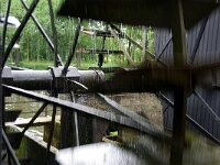 NL, Noord-Brabant, Eindhoven, Kleine Dommel bij Collse watermolen 23, Saxifraga-Foto Fitis-Sytske Dijksen
