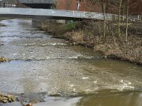 NL, Noord-Brabant, Eindhoven, Van Abbemuseum 7, Saxifraga-Jan van der Straaten