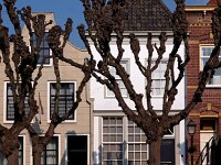 NL, Noord-Brabant, Geertruidenberg 2, Saxifraga-Hans Dekker