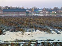 NL, Noord-Brabant, Heeze-Leende, Peelven 1, Saxifraga-Tom Heijnen