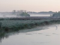 NL, Noord-Brabant, Heeze-Leende, Tongelreep in Patersgronden 2, Saxifraga-Tom Heijnen